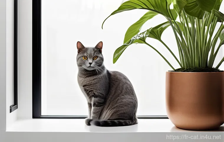 고양이 물 마시게 하기 - **Prompt 1: The Modern Hydration Haven**
A serene indoor scene featuring a sleek, modern pet wat...