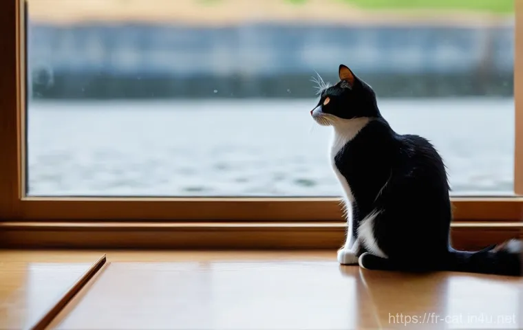 고양이 물 마시게 하기 - **Prompt 1: The Modern Hydration Haven**
A serene indoor scene featuring a sleek, modern pet wat... 고양이 물 마시게 하기 - **Prompt 1: The Modern Hydration Haven**
A serene indoor scene featuring a sleek, modern pet wat...