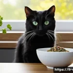 고양이 용품 리뷰 - **Personalized Feline Dining Experience**: A healthy, sleek black short-haired cat with vibrant gree...